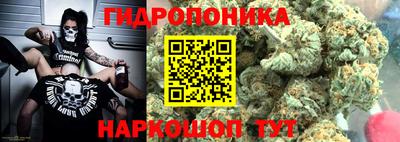 индика Ивантеевка