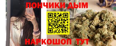 индика Ивантеевка